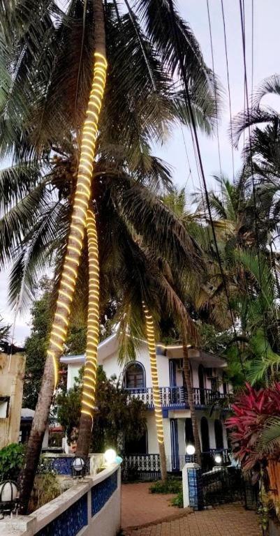 Baga Beach Palms מראה חיצוני תמונה