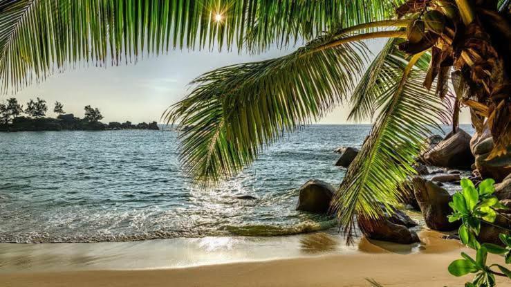 Baga Beach Palms מראה חיצוני תמונה
